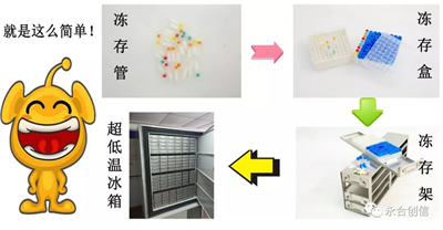 樣本凍存解決方案之凍存架、凍存盒、凍存管