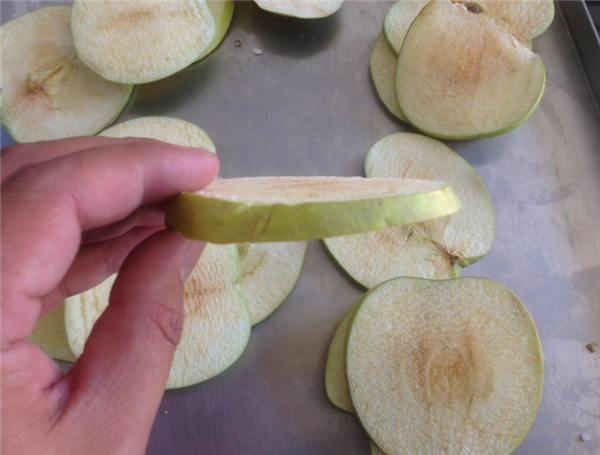 淺述制藥凍干機的各組成結構起到的作用