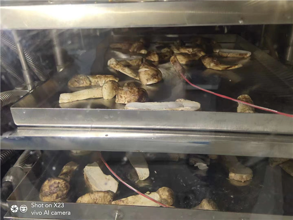 分享影響低溫冷凍干燥機排氣溫度的幾個(gè)關(guān)鍵因素