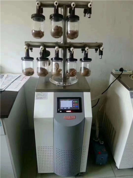小型真空冷凍干燥機的節能減排技術(shù)探討