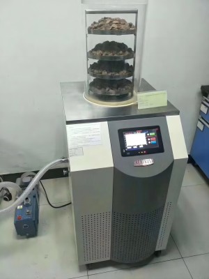 實(shí)驗室凍干機2.jpg